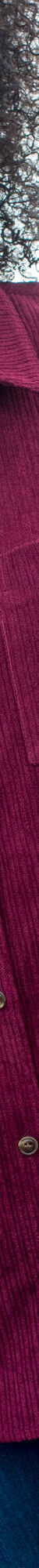Chemise en velours côtelé (prune) Chemise en velours côtelé (prune)